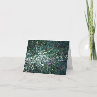 A Lark in a Meadow Card