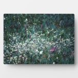 A Lark In A Meadow Plaque at Zazzle