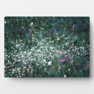 A Lark in a Meadow Plaque