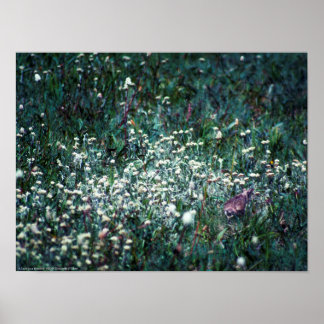 A Lark in a Meadow Poster