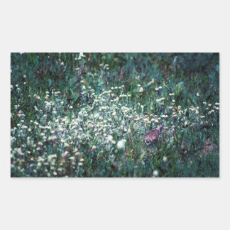 A Lark in a Meadow Rectangular Sticker
