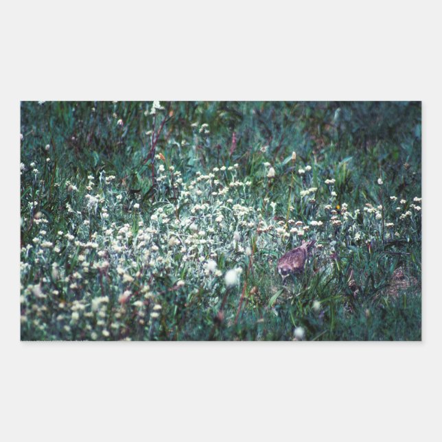 A Lark in a Meadow Rectangular Sticker (Front)