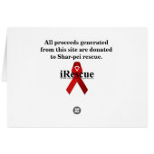 A Leap Of Faith (Back Horizontal)