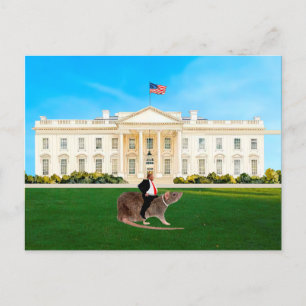 A Legend in His Own Mind Postcard