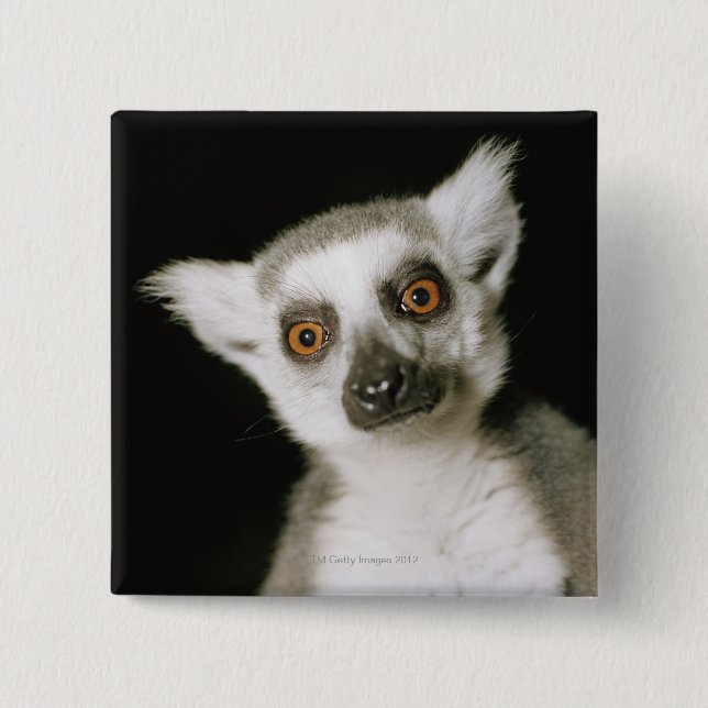 A lemur. button (Front)