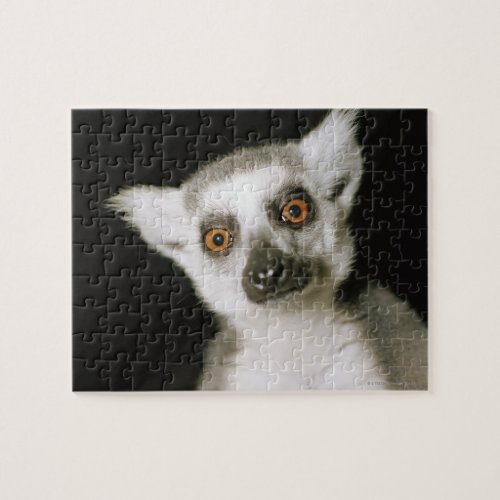 A lemur jigsaw puzzle