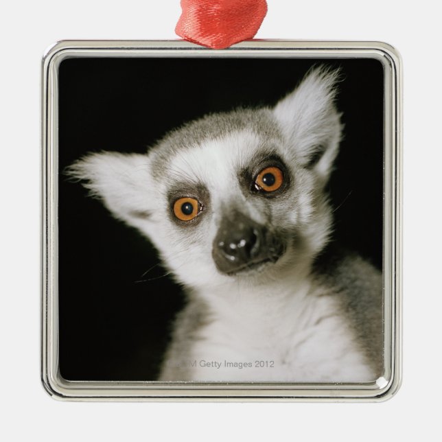 A lemur. metal ornament (Front)
