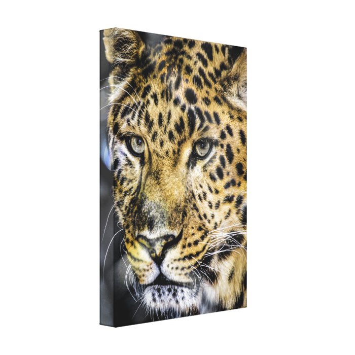 A Leopard's Eyes Gallery Wrap Canvas