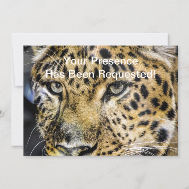 A Leopard's Eyes Invitation (Front)