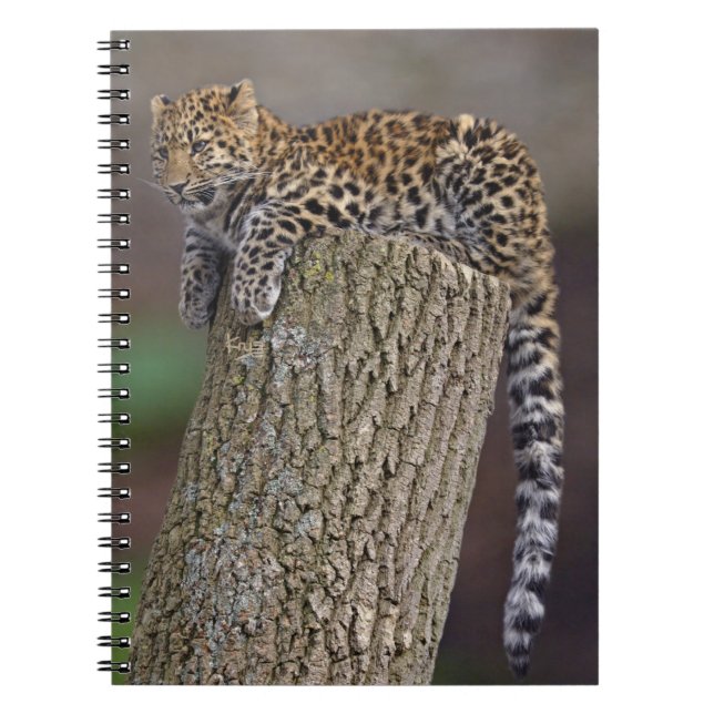 A Leopard's Tail Notebook (Front)