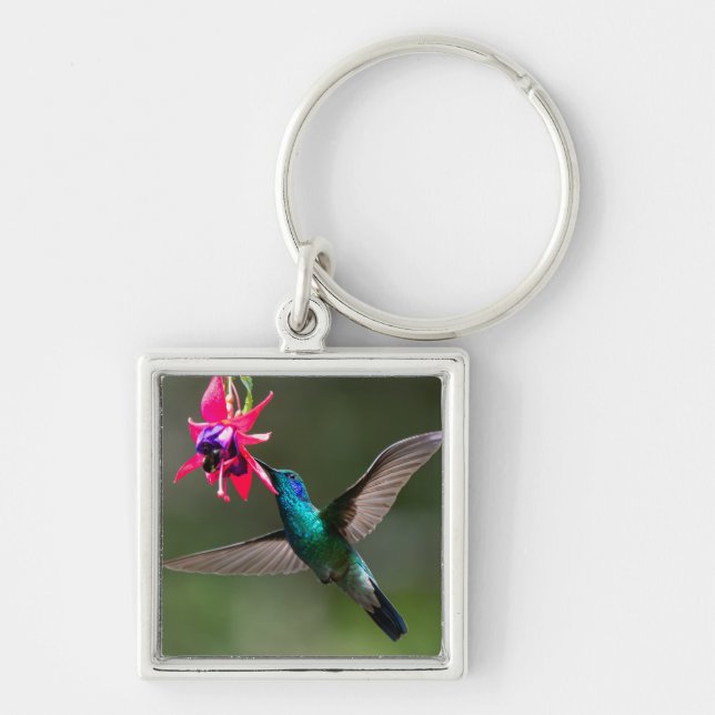 A Lesser Violetear Hummingbird Keychain (Front)