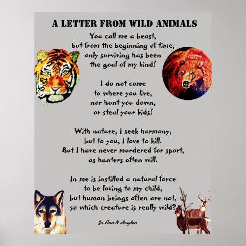A LETTER FROM WILD ANIMALS poster