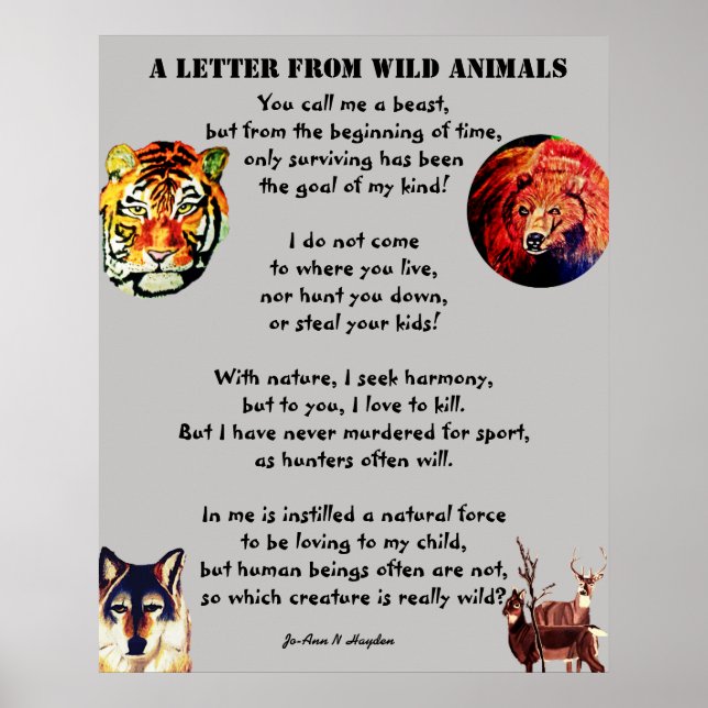 A LETTER FROM WILD ANIMALS poster (Front)