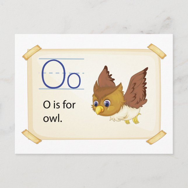 A letter O for owl Postcard (Front)