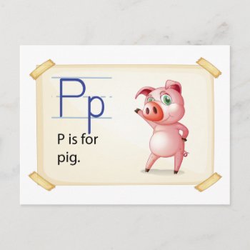 A Letter P For Pig Postcard by GraphicsRF at Zazzle