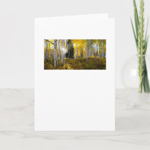 A Light in the Forest Greeting Card