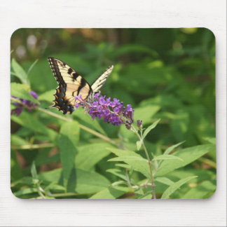 A Light Lunch Mouse Pad