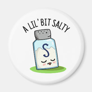 A Lil Bit Salty Funny Salt Shaker Pun  Magnet