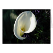 A Lily of the Valley (Front Horizontal)