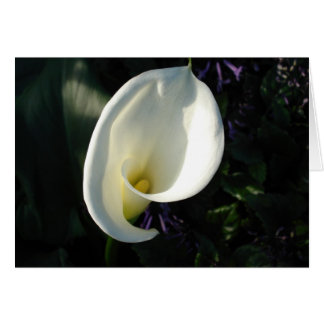 A Lily of the Valley Cards