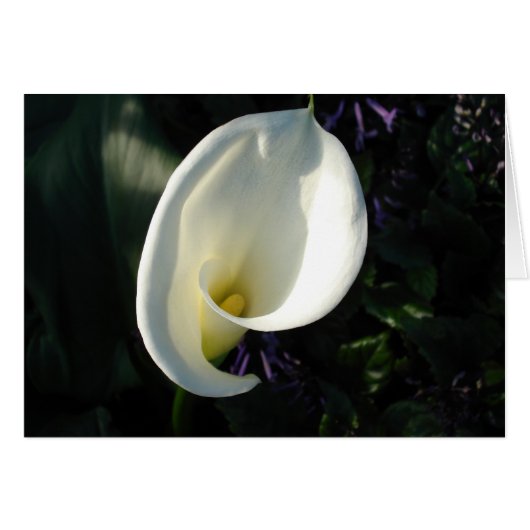 A Lily of the Valley Cards (Front Horizontal)