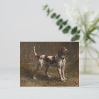A Limier Briquet Hound Postcard