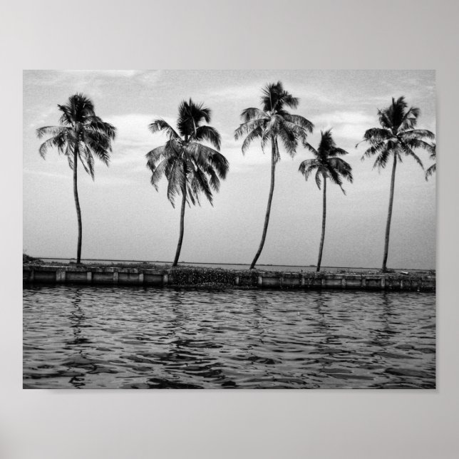 A line of palm trees in black and white poster (Front)