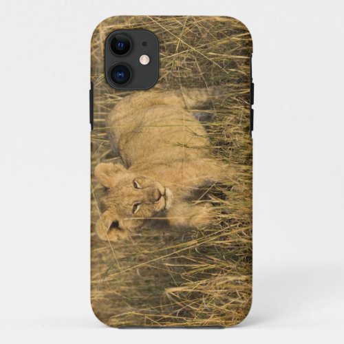 A lion cub laying in the bush in the Maasai Mara iPhone 11 Case