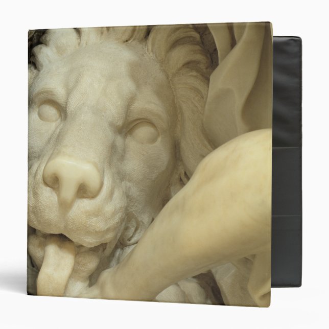 A Lion licking the foot of Daniel Binder (Front/Inside)