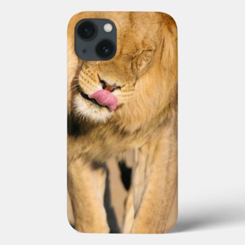 A Lion shaking its head and licking its mouth iPhone 13 Case