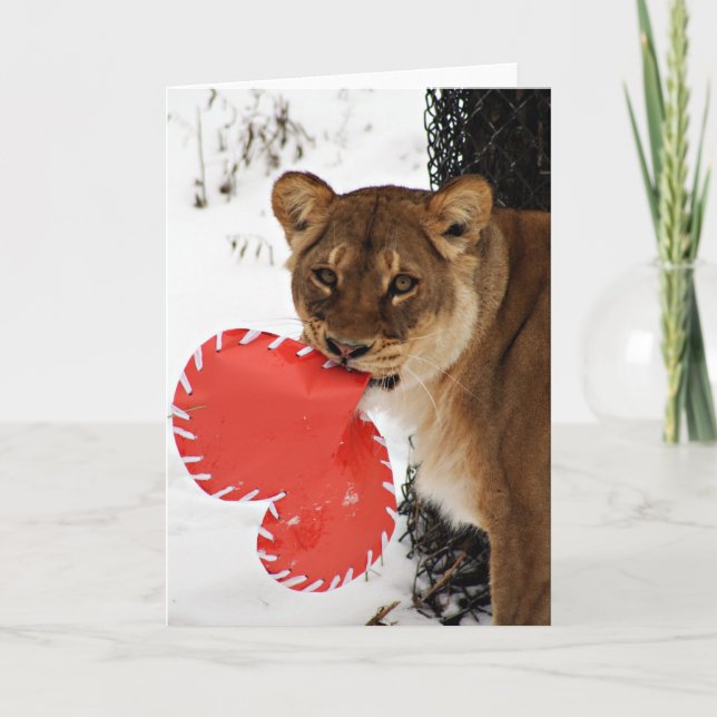 A Lion Share of  Love Holiday Card (Front)