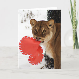 A Lion Share of Love Holiday Card
