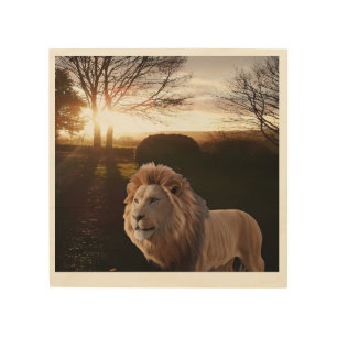 A lion standing in a field at sunset wood wall art