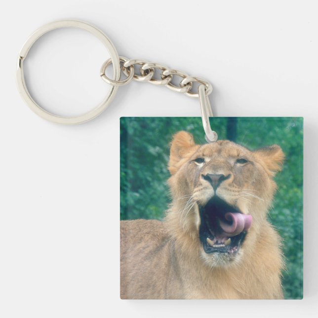 A Lions Roar Keychain (Front)