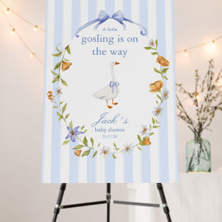 a litlle gosling is on the way foam board