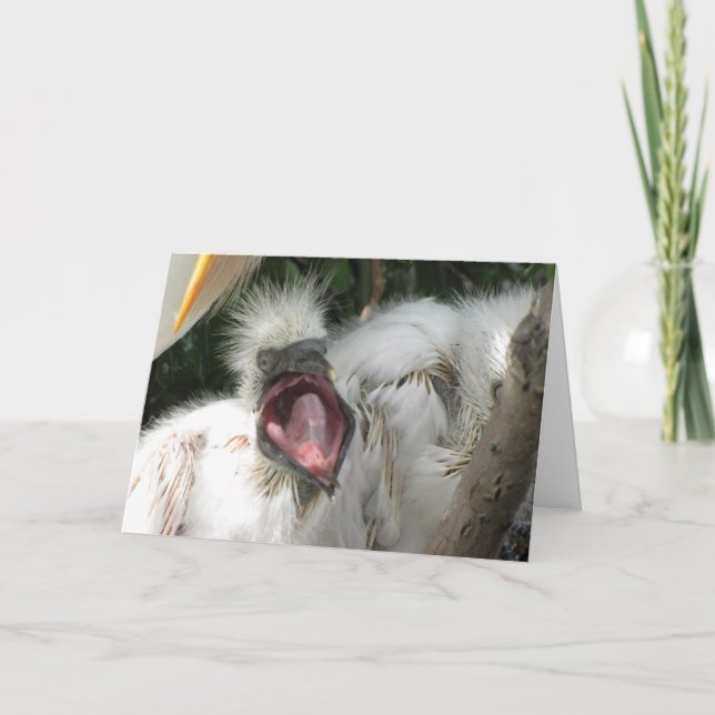 A Little Bird Birthday Card (Front)