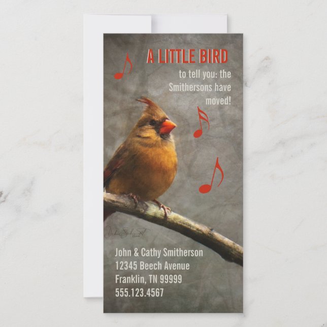 A Little Bird New Address Custom Photo Cards (Front)