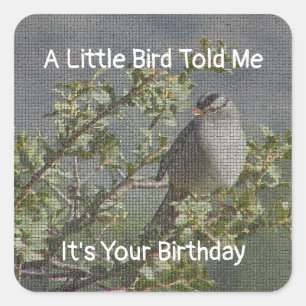 A Little Bird Told Me Birthday Wishes Square Sticker