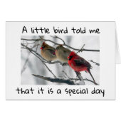 A LITTLE BIRD TOLD ME IT IS ****OUR SPECIAL DAY*** (Front Horizontal)