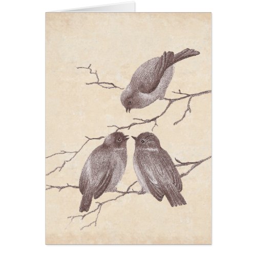 A Little Bird Told Me Winter Birds Antique Sketch