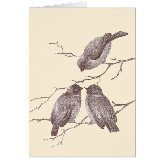 A Little Bird Told Me: Winter Birds Antique Sketch (Front)