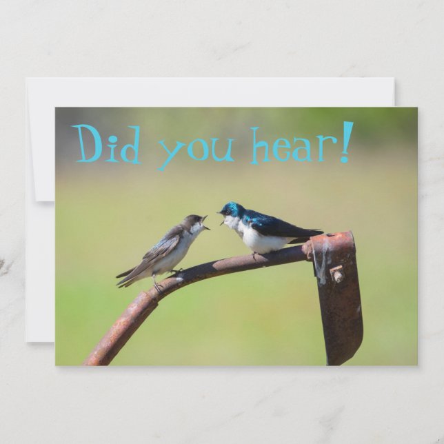 A little birdie told me  - customizable invitation (Front)