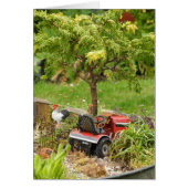 A Little Bit Country, Blank Card (Front)