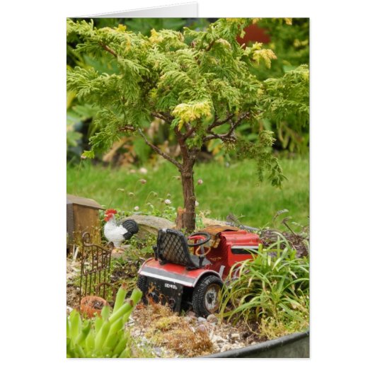 A Little Bit Country, Blank Card (Front)