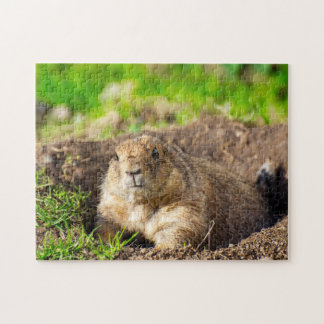 A Little Black-Tailed Prairie Dog Jigsaw puzzle