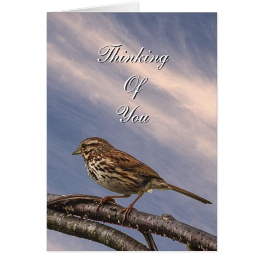 A Little Brown Bird Cards (Front)