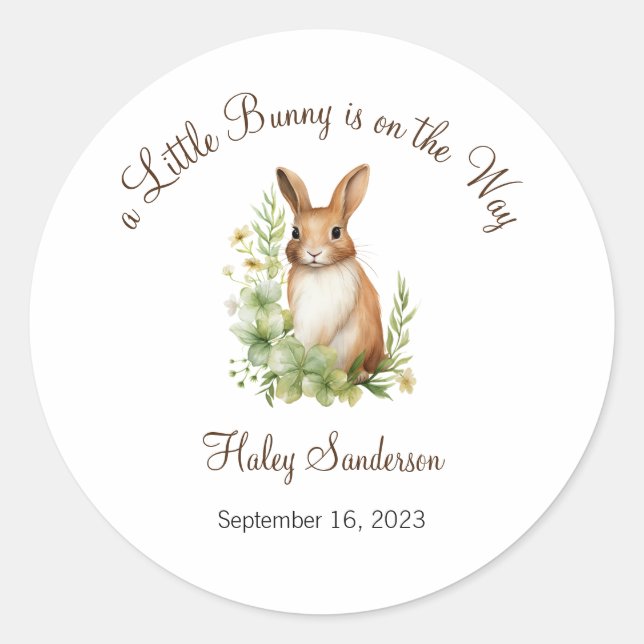 A Little Bunny is on the Way Label, Baby  Classic Round Sticker (Front)