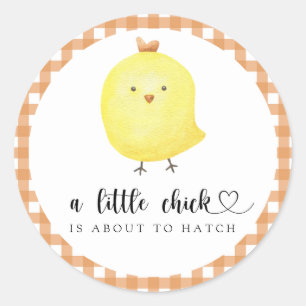 A little Chick is about to hatch Baby shower Classic Round Sticker