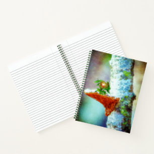 A Little Dragon Sleeps Notebook