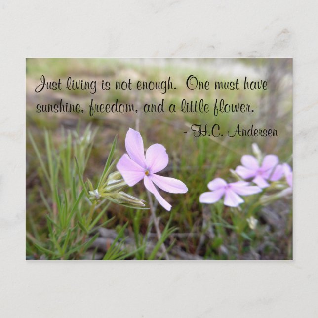 A Little Flower Postcard (Front)